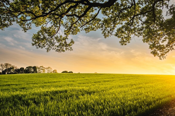 Rural countryside at sunset, Union County